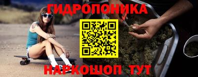 a pvp Краснознаменск