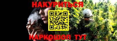 a pvp Краснознаменск