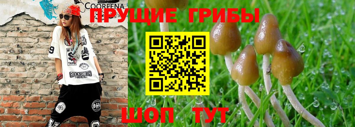 Псилоцибиновые грибы MAGIC MUSHROOMS  Вход с VPN  Псилоцибиновые грибы Magic Shrooms  продажа наркотиков  Златоуст 