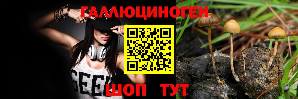 Псилоцибиновые грибы ЛСД Златоуст